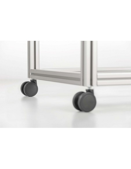 Rueda giratoria D65