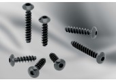 Tornillos termoplásticos